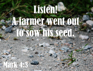 Along The Path 1 Picture