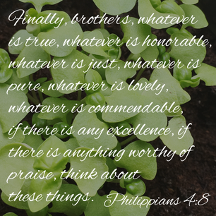 Virtuous Speech 1 Picture