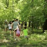 Family Retreat In Virginia