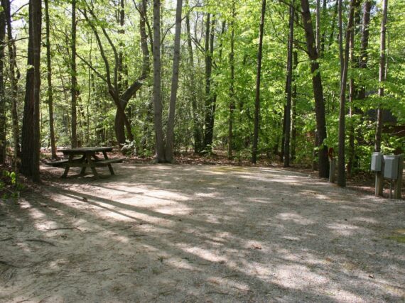 A Campground Lot, Perfect For Camping Field Trips In Williamsburg, Virginia