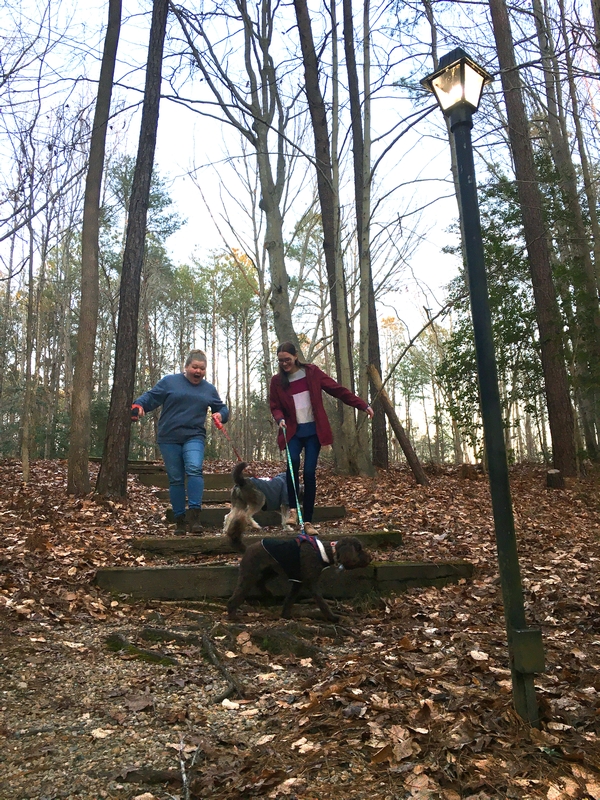 Colonial Pines Campground In Williamsburg Va 02