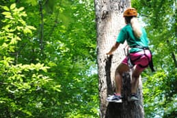 A Woman Doing A Tree Climbing Course While At Wcrc  In Williamsburg, Virginia